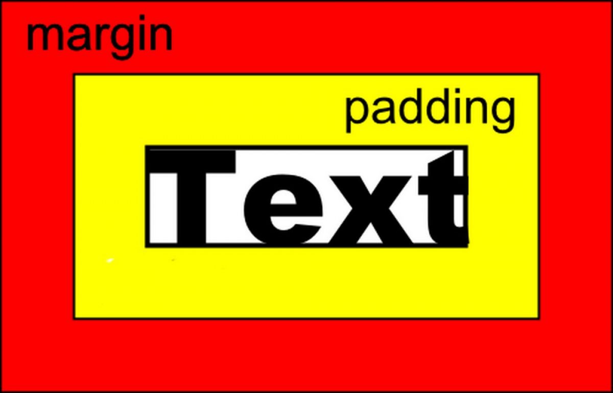 Слово пад. Margin padding. Html margin и padding. Margin padding CSS. Отличие margin от padding.